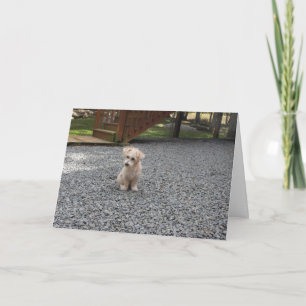 You're Not Alone Greeting Card