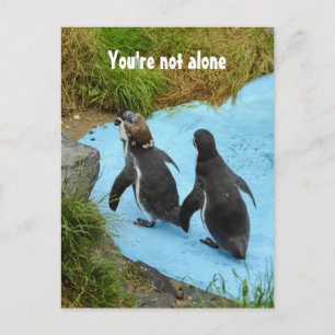 You're not alone Postcard