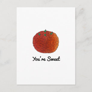 You're Sweet Indian Mithai Sweets Confections Food Postcard
