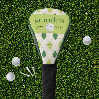You're Tee-rrific Gift for Him Golf Head Cover