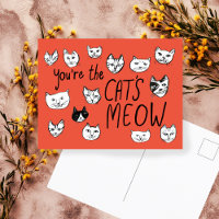 YOU'RE THE CAT'S MEOW Cute Kittens  Postcard