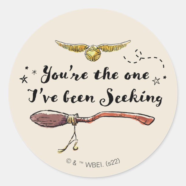 You're The One I've Been Seeking Classic Round Sticker (Front)