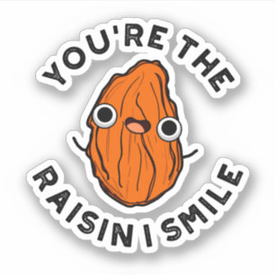 You're The Raisin I Smile Funny Food Pun