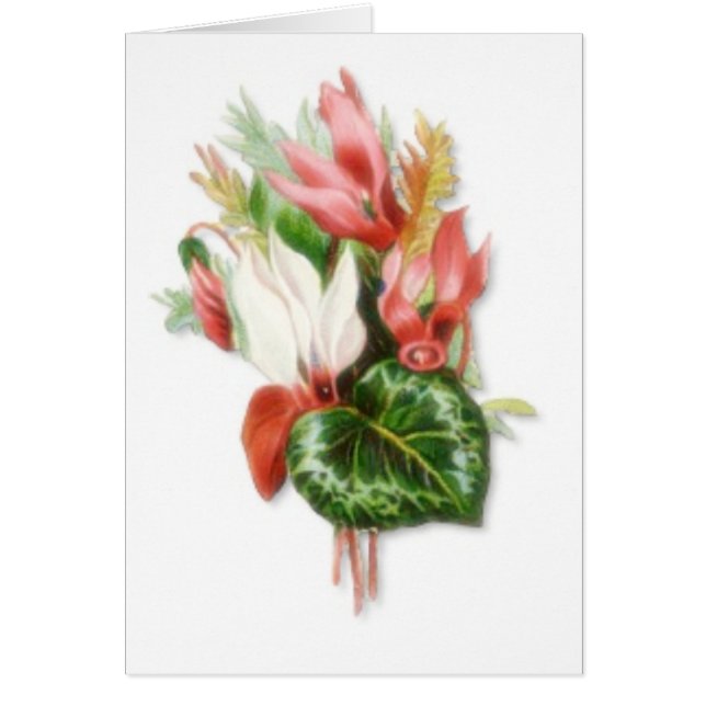 You're Welcome (Front)