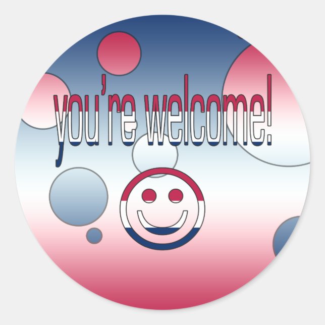 You're Welcome! America Flag Colours Pop Art Classic Round Sticker (Front)