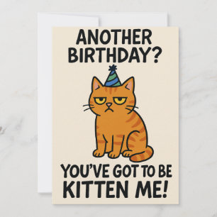 You've Got to Be Kitten Me! Holiday Card