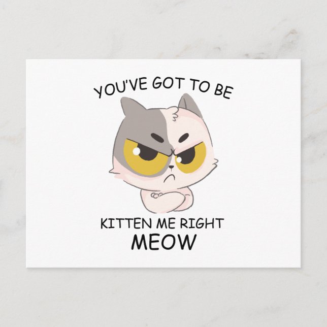 You've Got To Be Kitten Me Right Meow Postcard (Front)