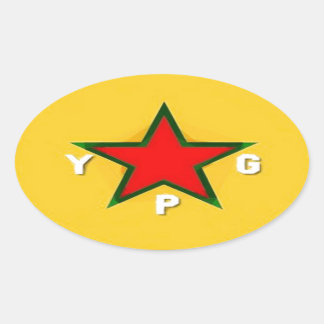 ypg logo 4 oval sticker