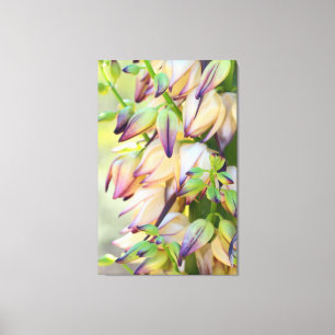 yucca flowers wrapped canvas