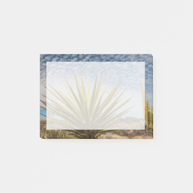 Yucca In The Desert, Mexico Post-it Notes (Front)