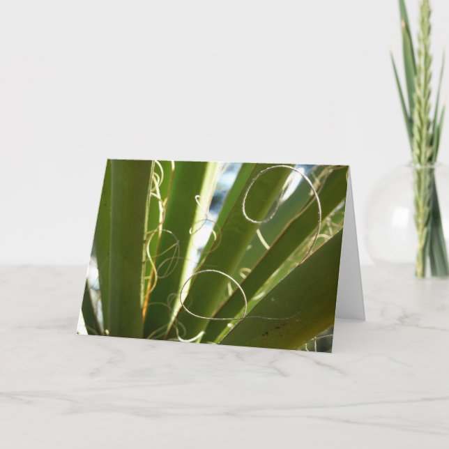 Yucca Leaves Green Nature Photography Card (Front)