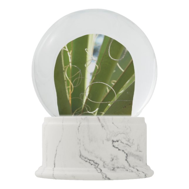 Yucca Leaves Green Nature Photography Snow Globe (Front)