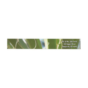 Yucca Leaves Green Nature Photography Wrap Around Label