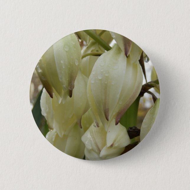 Yucca Plant  Badge 2 Inch Round Button (Front)