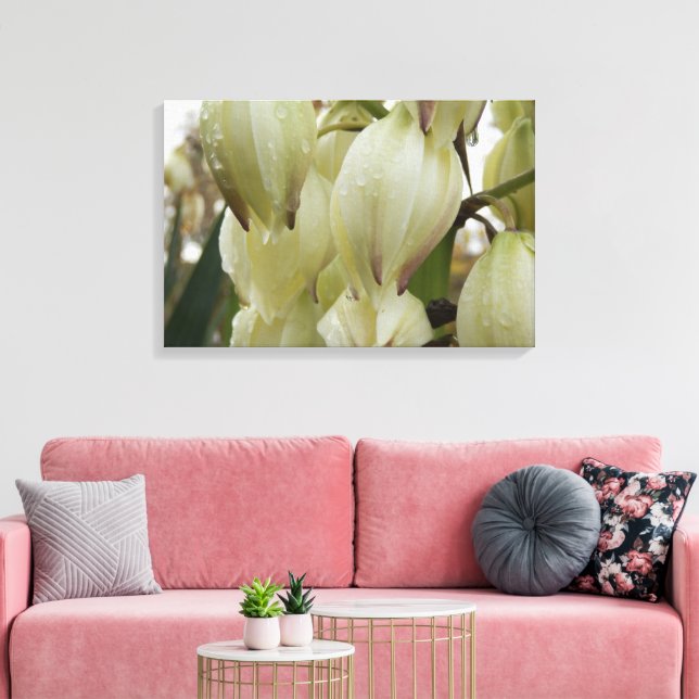 Yucca Plant  Canvas Print (Insitu(LivingRoom))