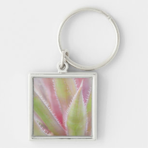 Yucca plant close-up keychain