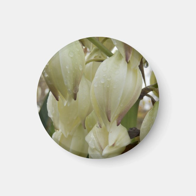 Yucca Plant  Magnet (Front)