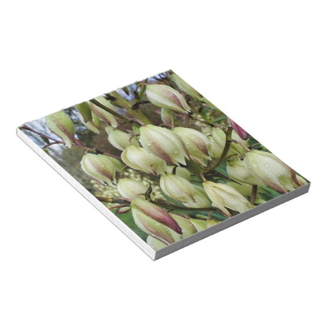 Yucca Plant  Notepad (Angled)