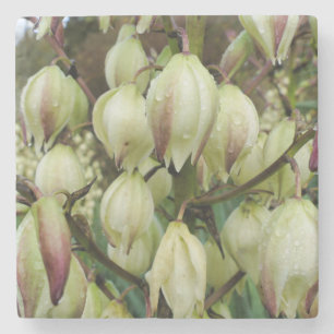 Yucca Plant  Stone Coaster