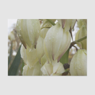 Yucca Plant Tissue Paper