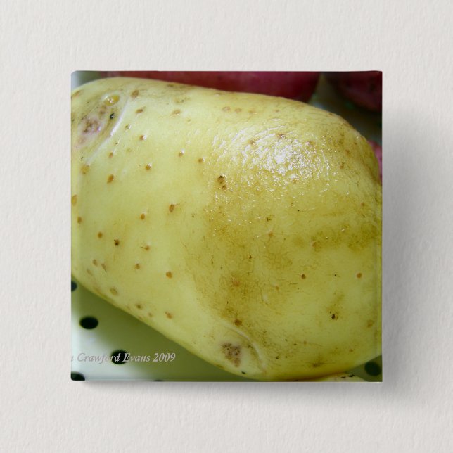 Yukon Gold potato 2 Inch Square Button (Front)