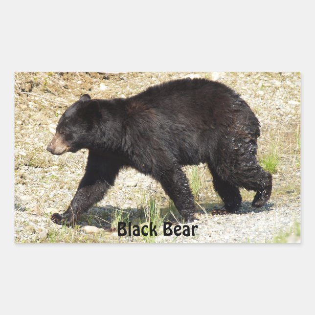 Yukon Ours Noir Faune Sticker Cadeaux (Devant)