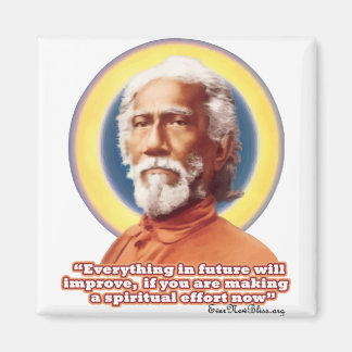 Yukteshwar Magnet SY01