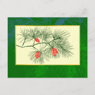 Yule Pine Branch Carte postale Vintage