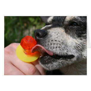 Yummy