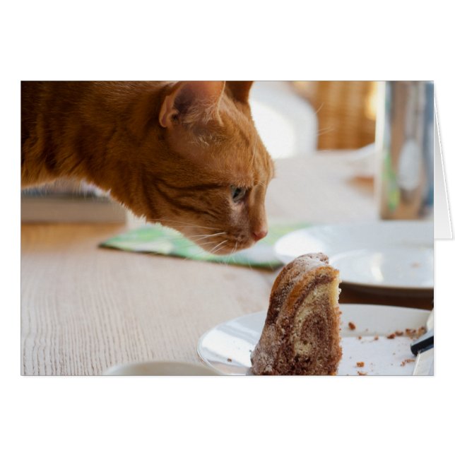 Yummy Guglhupf (Front Horizontal)