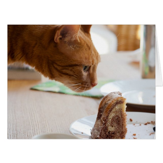 Yummy Guglhupf (Front Horizontal)