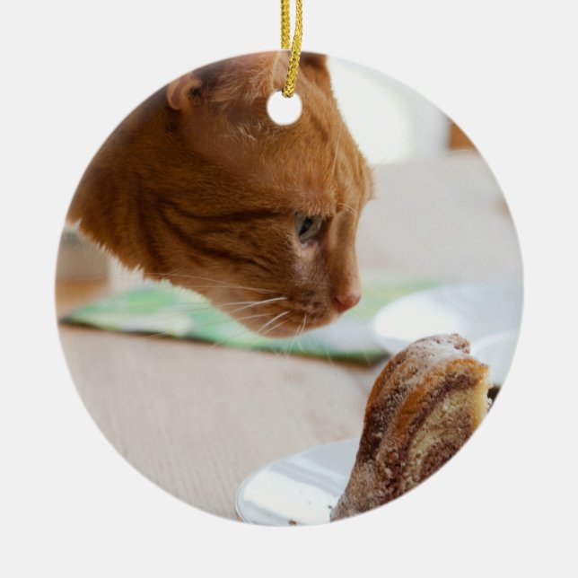 Yummy Guglhupf Ceramic Ornament (Front)