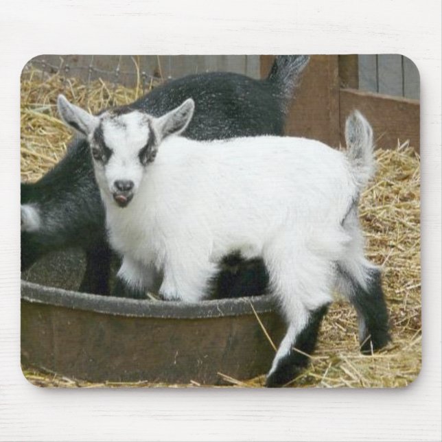 Yummy! Mouse Pad (Front)