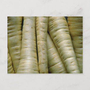 Yummy Parsnips Postcard