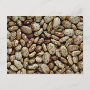 Yummy Pinto beans Postcard