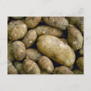 Yummy Potatoes Postcard