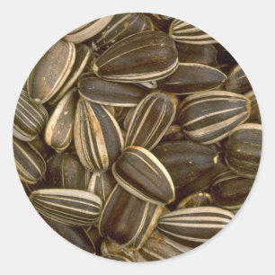 Yummy Sunflower seeds Classic Round Sticker