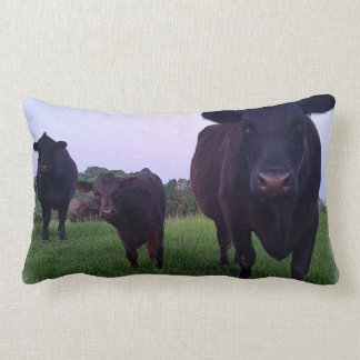 Yup Kow maintenant ! Coussin de vache
