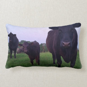 Yup Kow Now! Cow Pillow