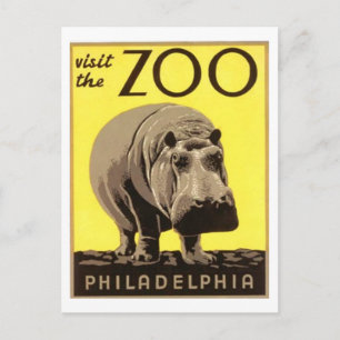 Z00 - Hippo Postcard