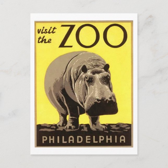 Z00 - Hippo Postcard (Front)