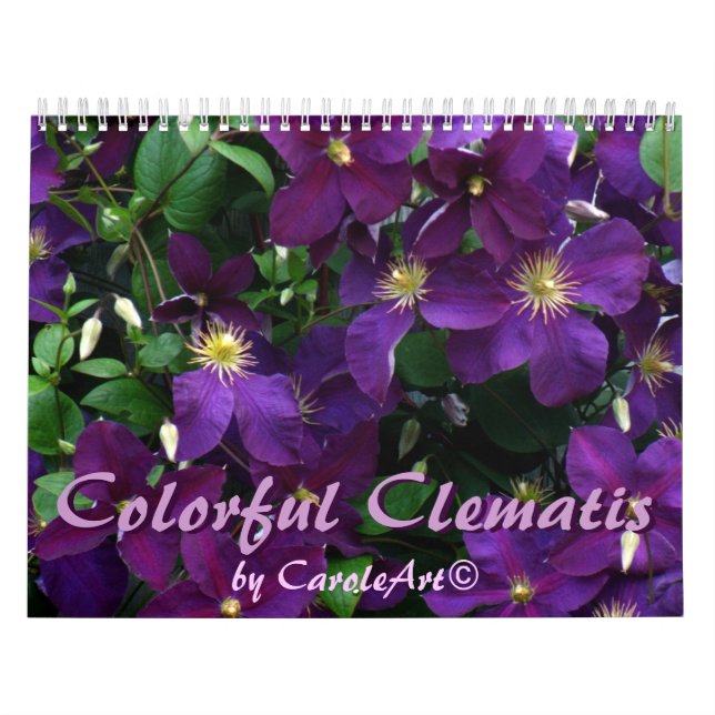 Z  Colourful Clematis 2013 Calendar (Cover)