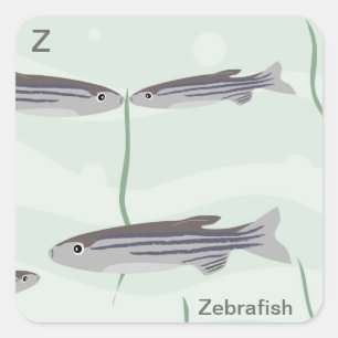 Z for zebrafish Sticker