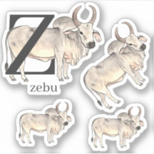 Z pour Stickers Zebu