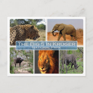 ZA South Africa - The Big 5 In Krugen N.P. - Postcard