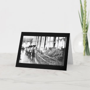 Zacatecas, Mexico Food Market 1904 Card