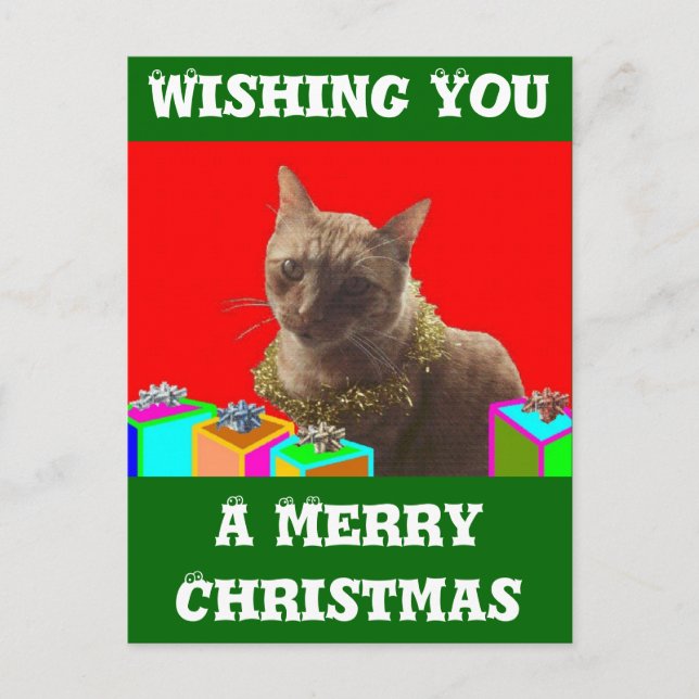 Zack The Xmas Cat Holiday Postcard (Front)