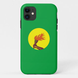 zaire congo country flag case