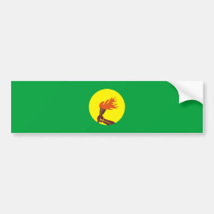 zaire congo country long flag nation symbol name bumper sticker