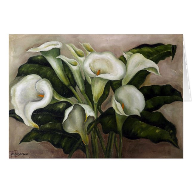 Zantedeschia (Devant horizontal)
